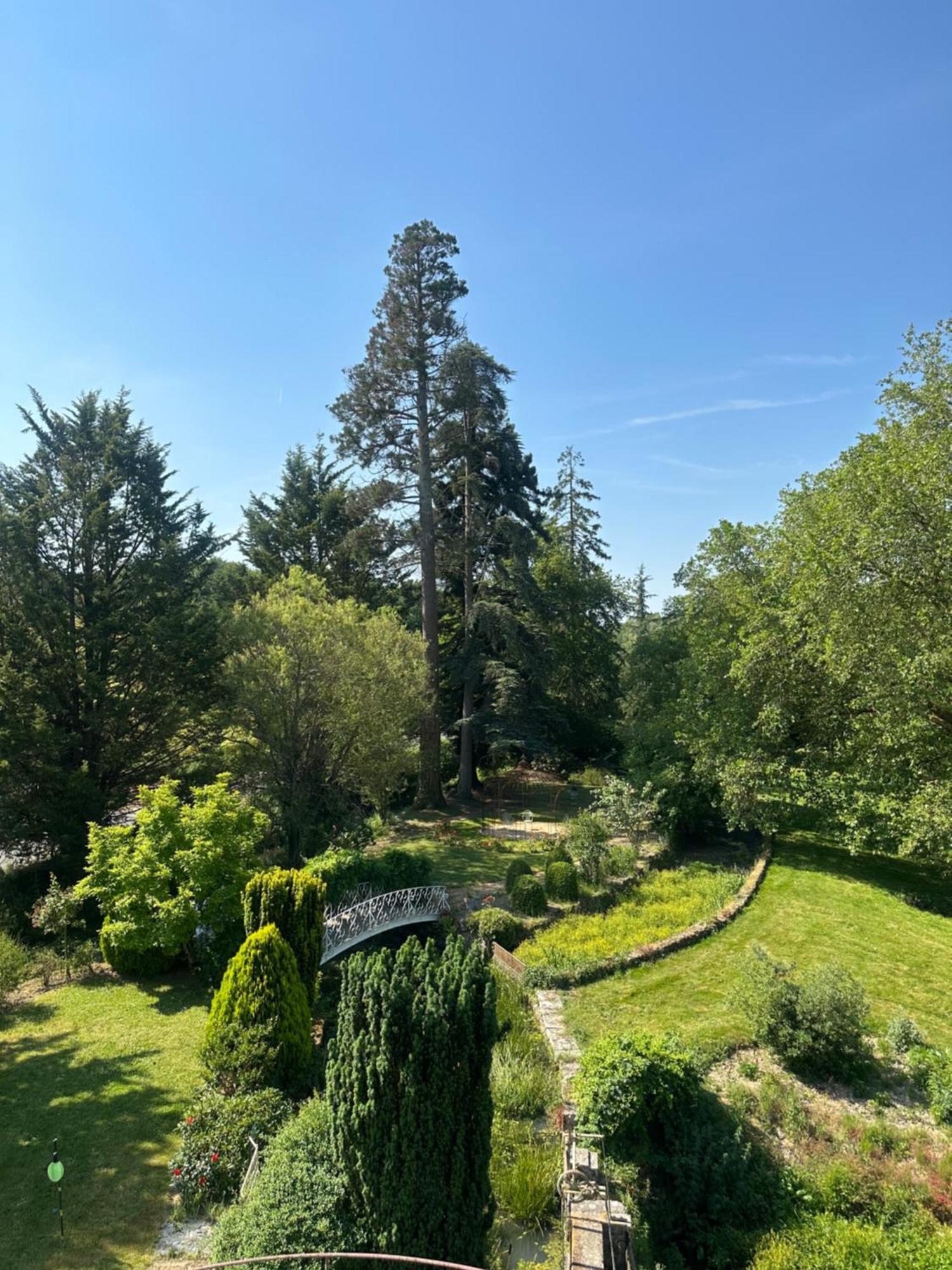 Le Moulin De Francueil Bed & Breakfast Luaran gambar