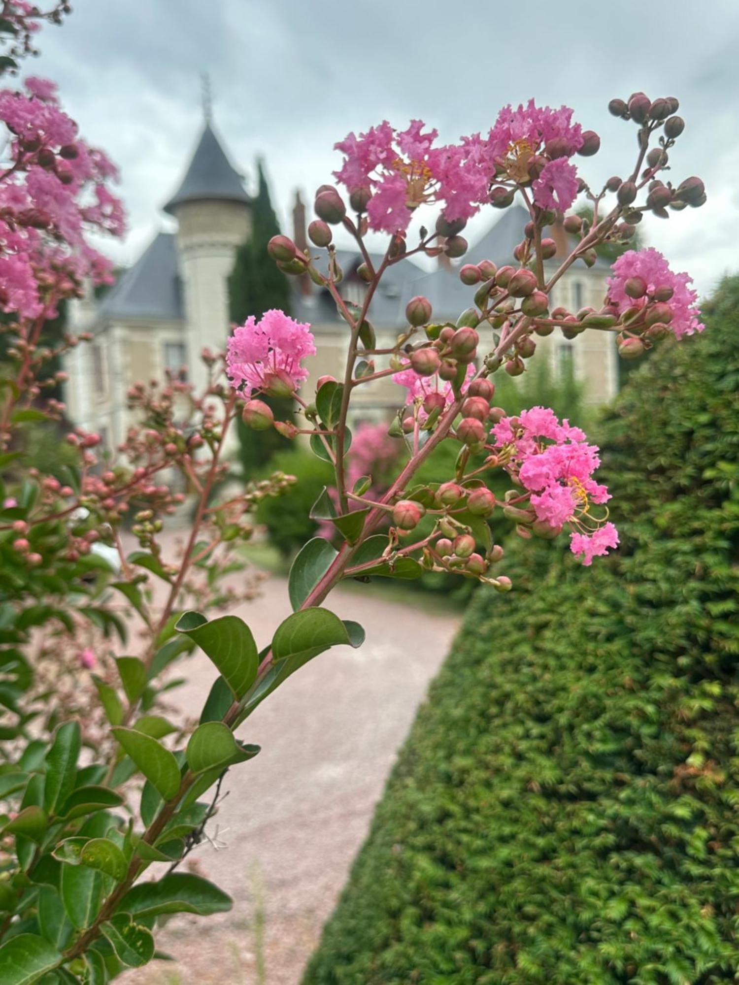 Le Moulin De Francueil Bed & Breakfast Luaran gambar