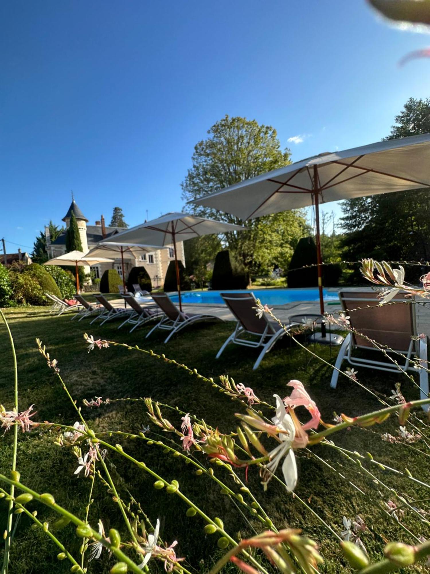 Le Moulin De Francueil Bed & Breakfast Luaran gambar